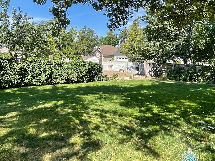 Furnished Finder property 1042174_1 photo 3