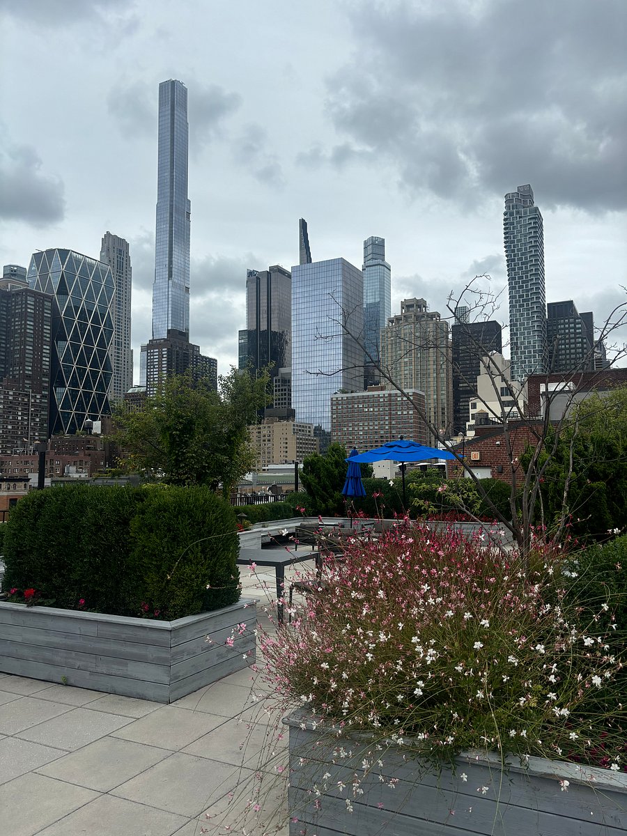 Rooftop Terrace Day View