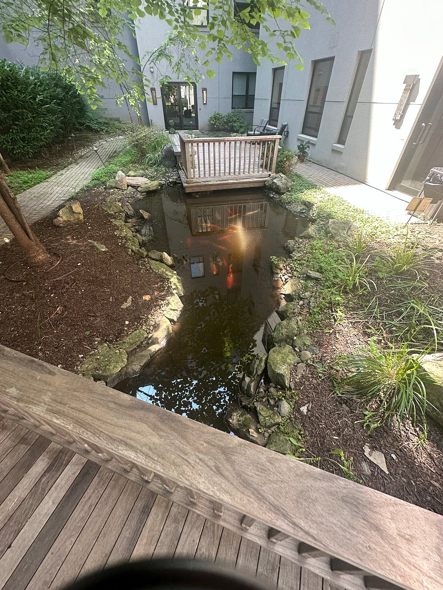 Fish Pond Courtyard