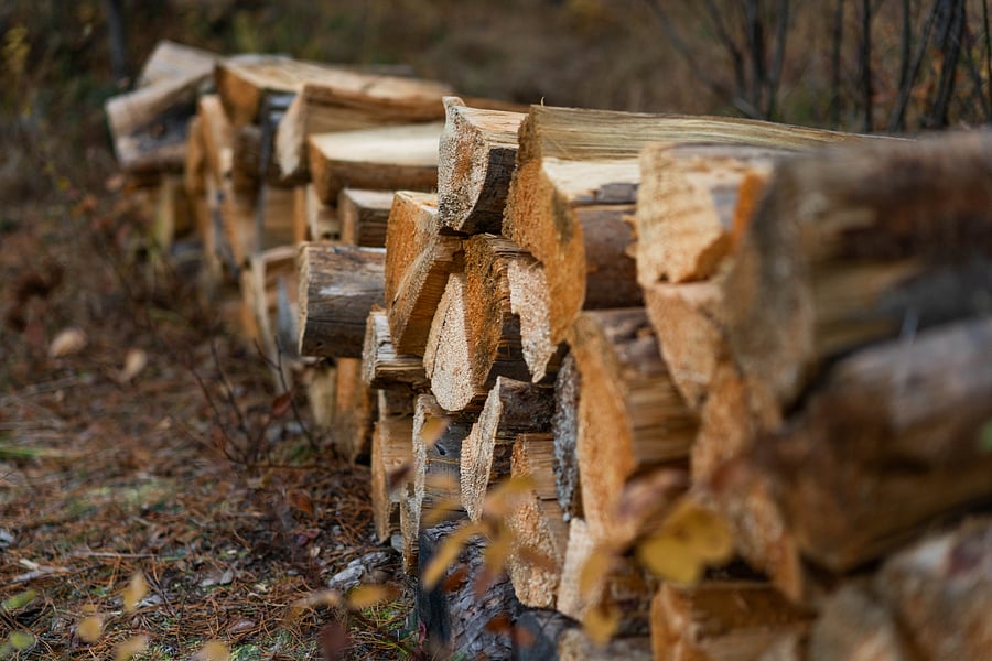 Lots of wood for campfires.
