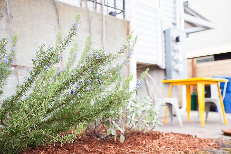 Private Patio outside the unit.