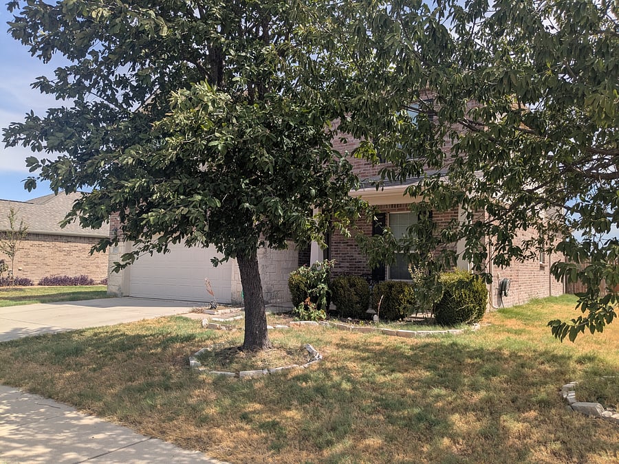 Shaded front yard - lawn care included