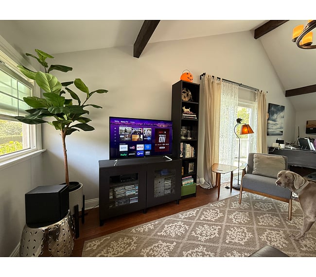 Roku Smart TV with Spectrum Streaming, Apple TV, HBO, Netflix, Prime Video, and Disney+/Hulu. Stereo, extensive CD collection.