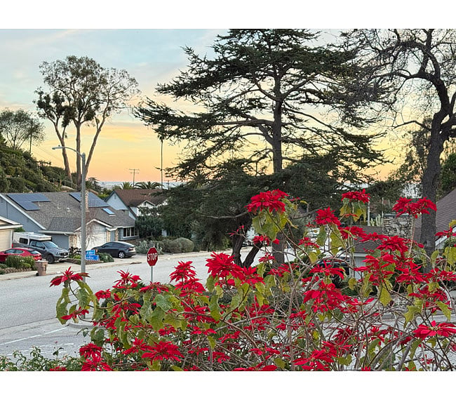 Sunset from side yard, looking toward ocean.
