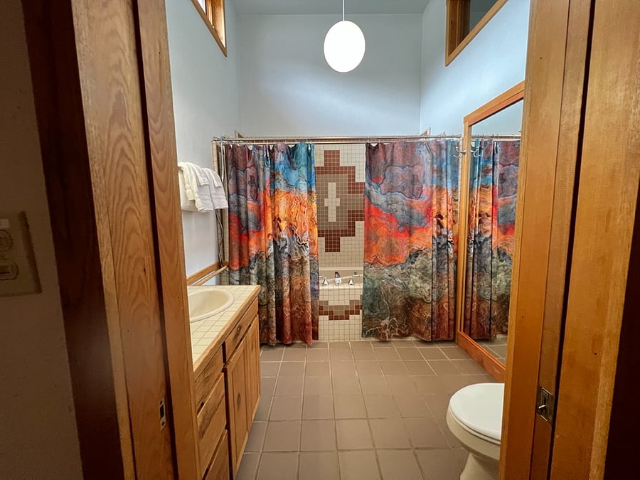 Second bath, including jacuzzi tub