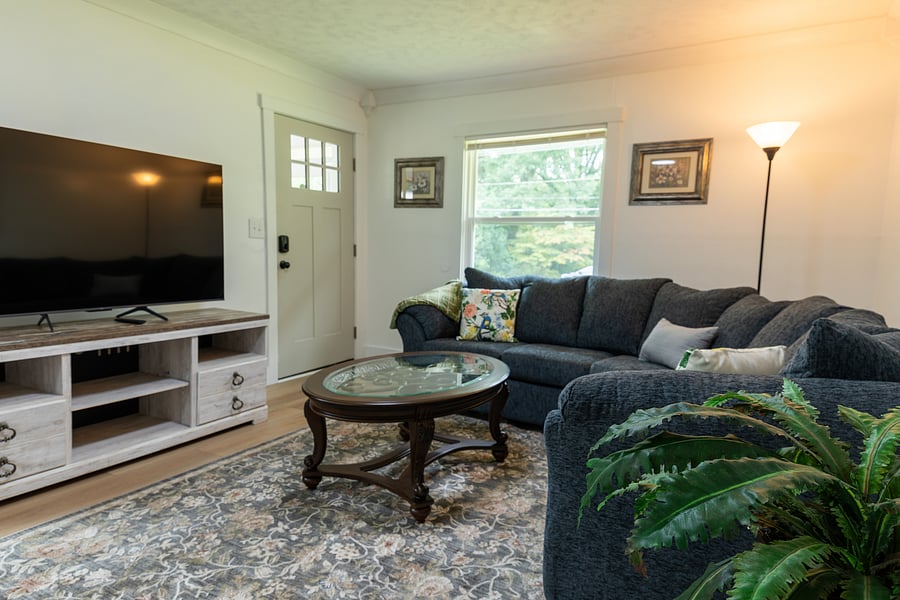 living room with smart TV