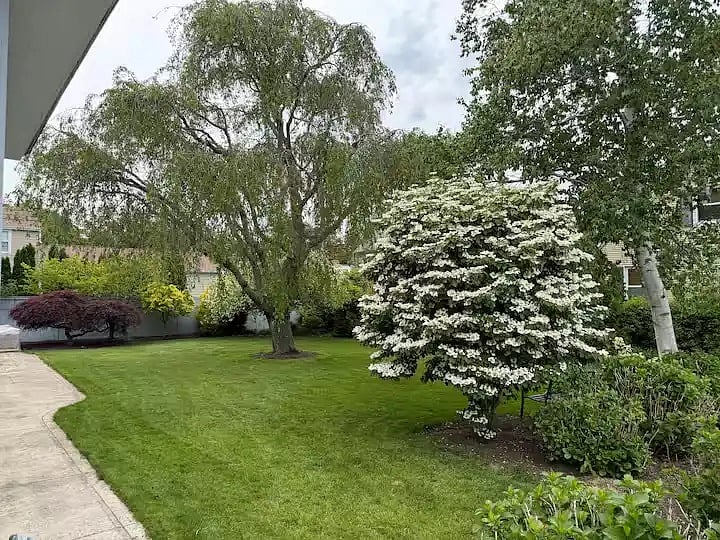 Furnished Finder property 1042550_1 photo 13