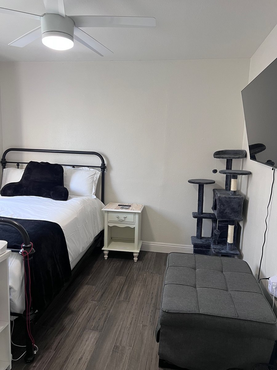 Furnished Finder property 1042622_1 photo 5