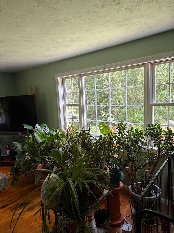 Furnished Finder property 1042682_1 photo 10