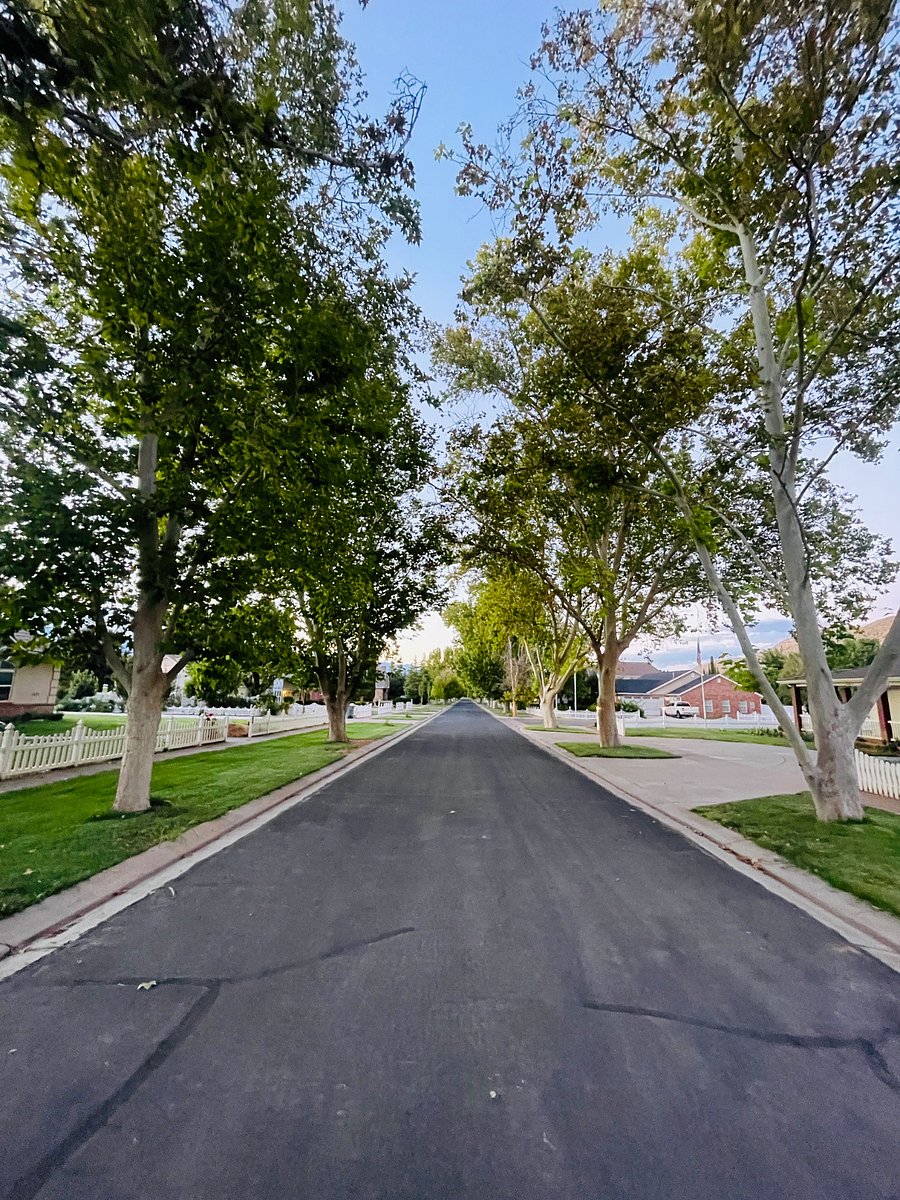 Sycamore Lane leading to home