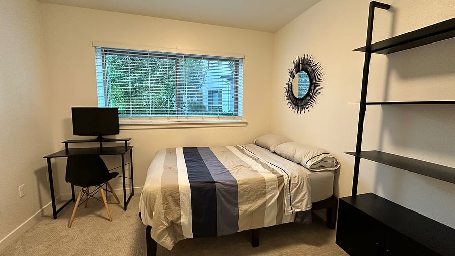 Downstairs bedroom