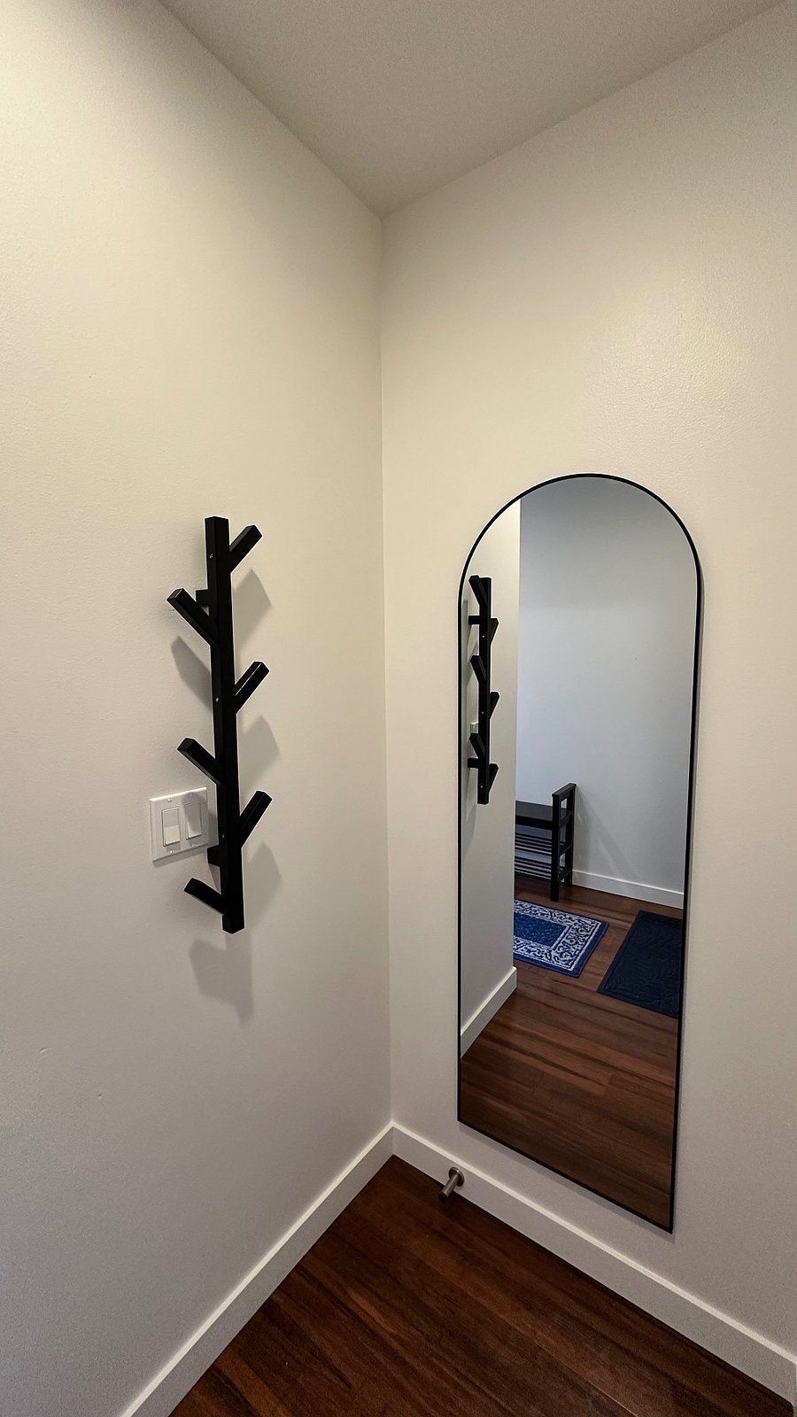 Entryway mirror and coat hanger