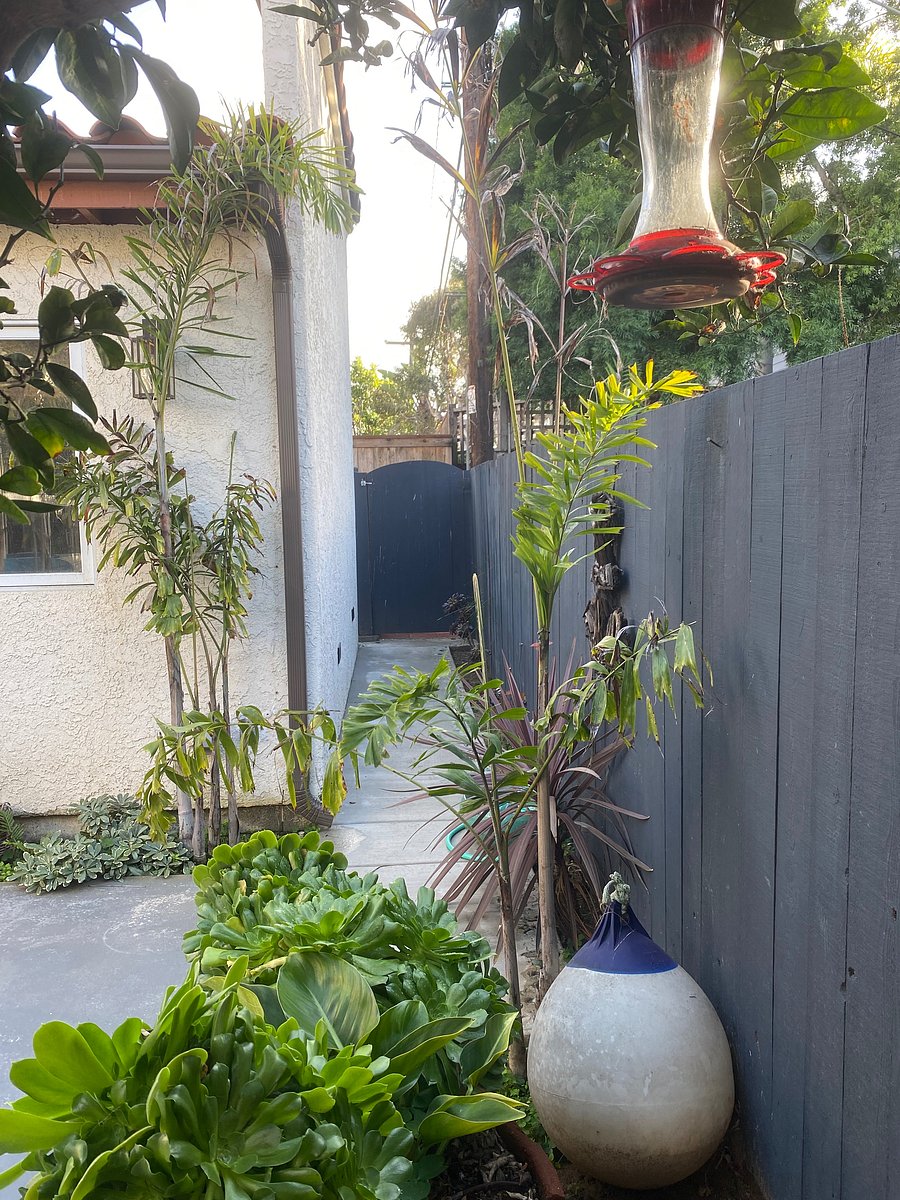 Separate-Entry gate passage with lighted pathway.