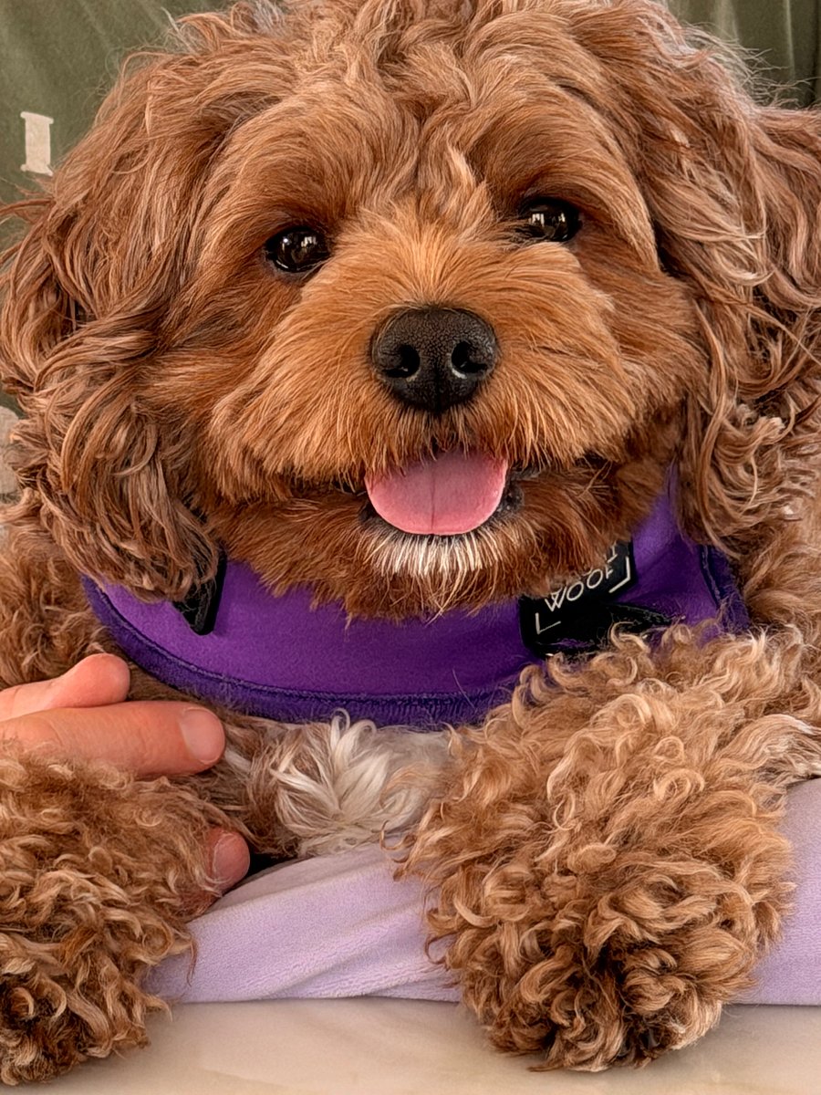 Charley