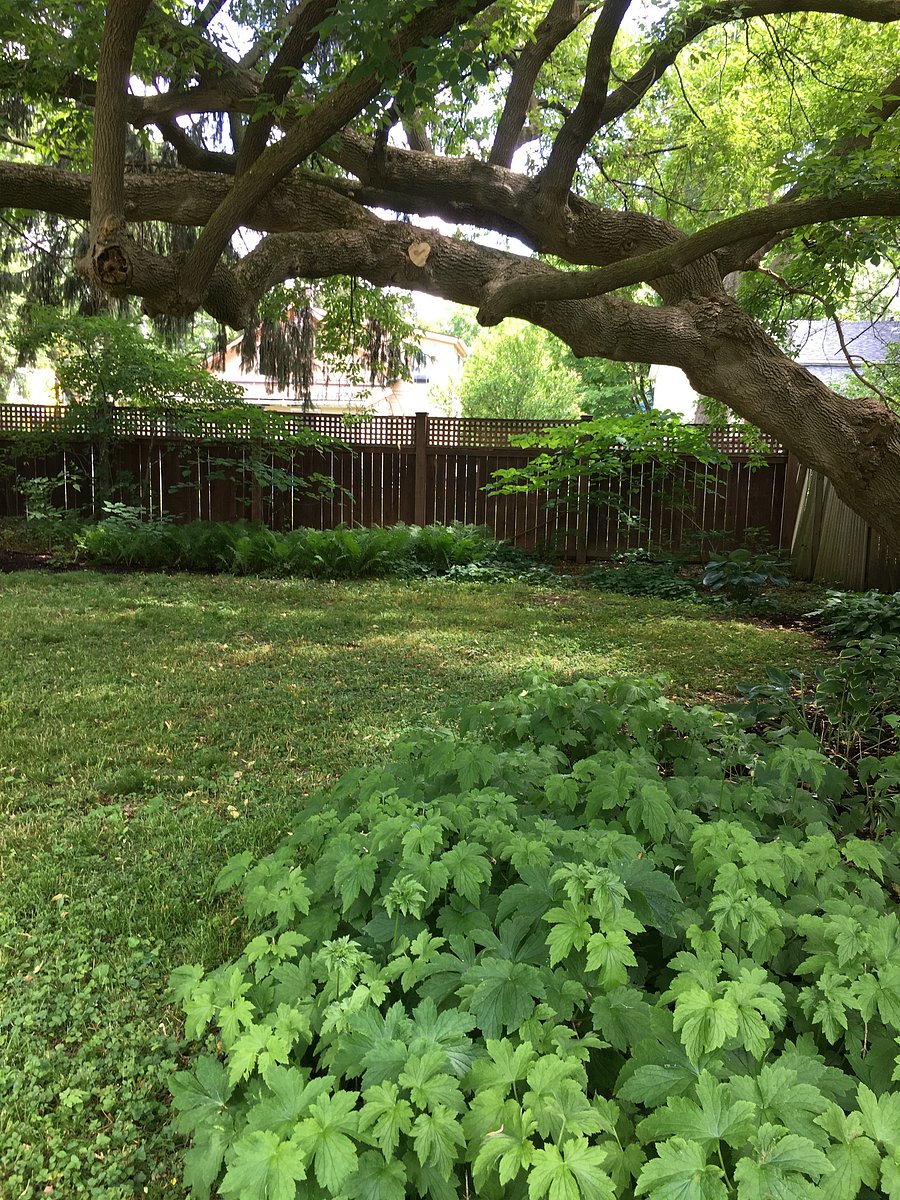 Furnished Finder property 1042945_1 photo 27