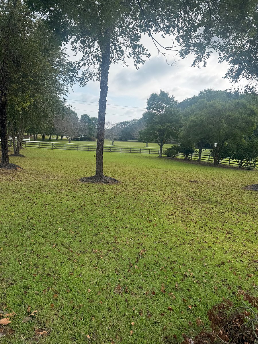 Furnished Finder property 1043106_1 photo 17