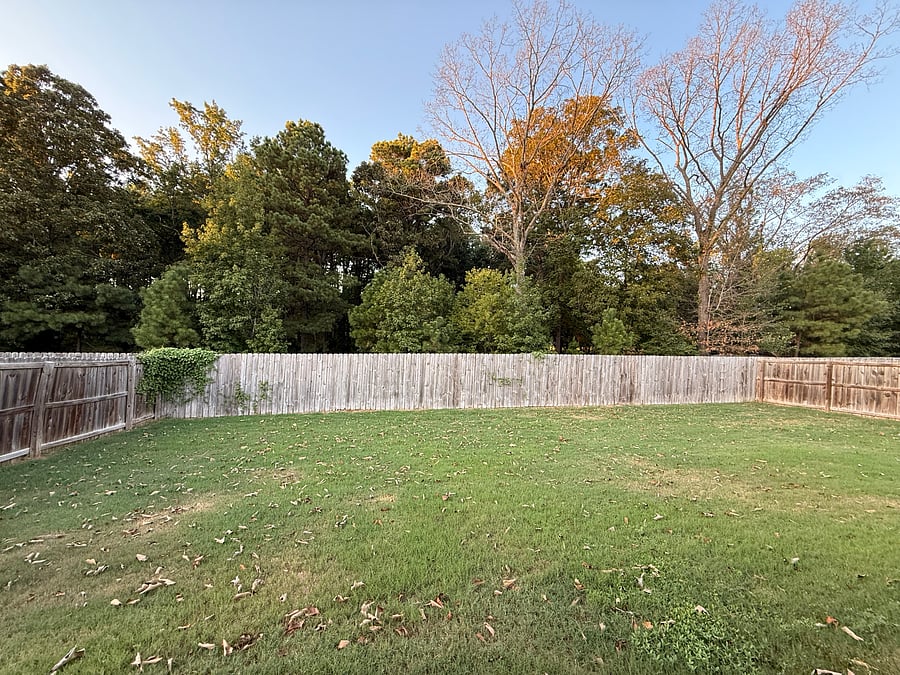 Furnished Finder property 1043131_1 photo 13