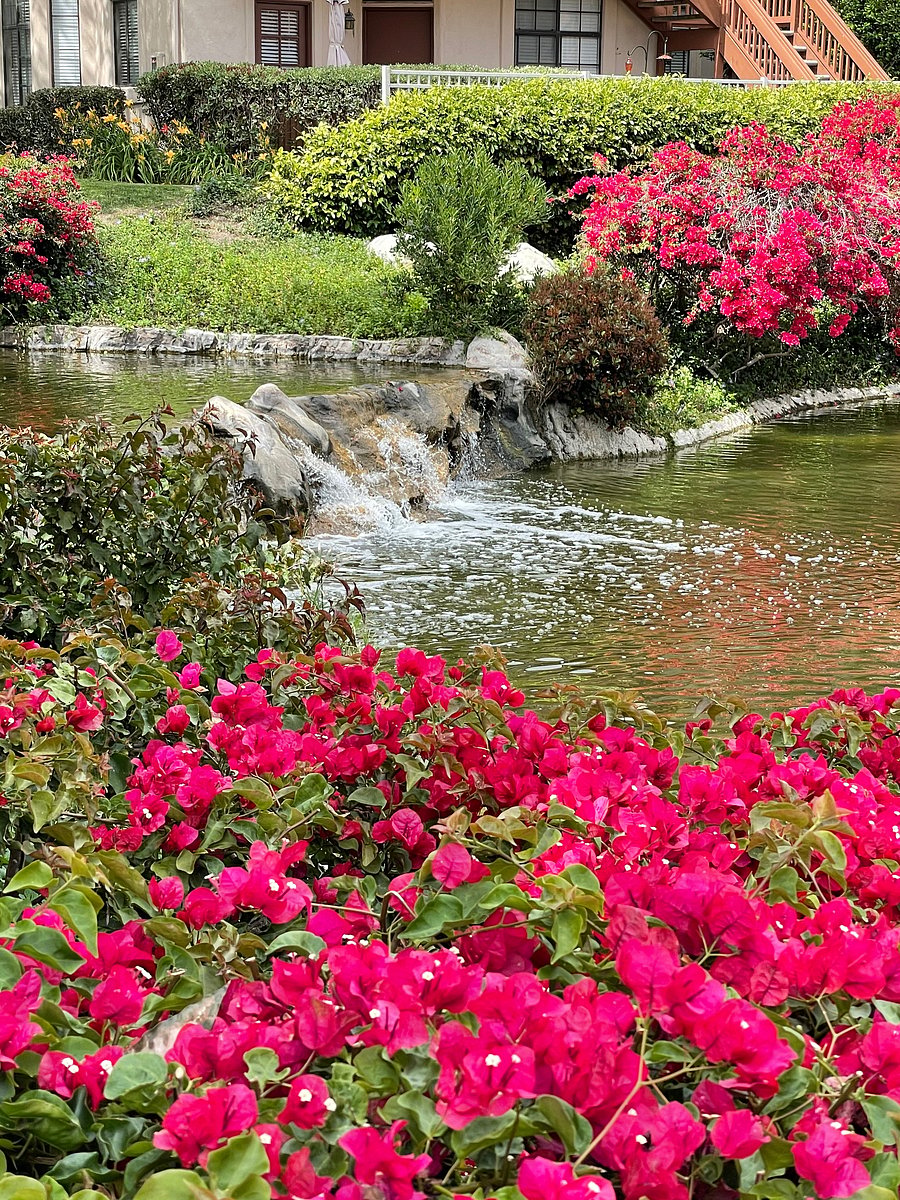 Lakes and waterfalls throughout the complex