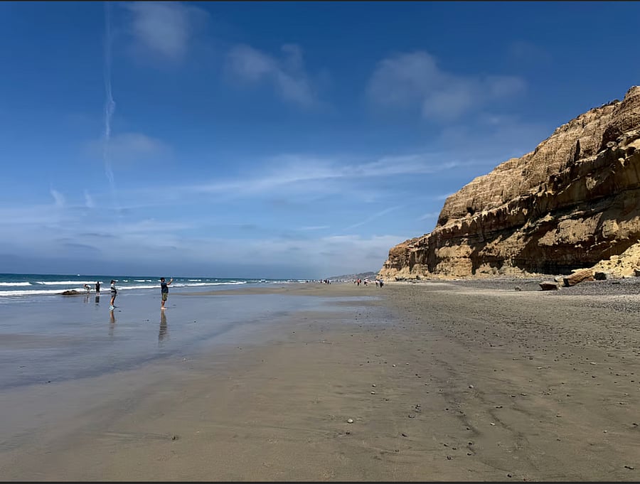 Torrey Pines State Beach