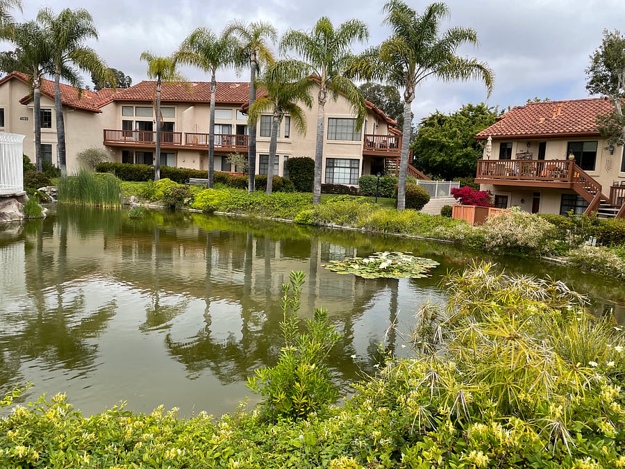 Furnished Finder property 1043159_1 photo 21