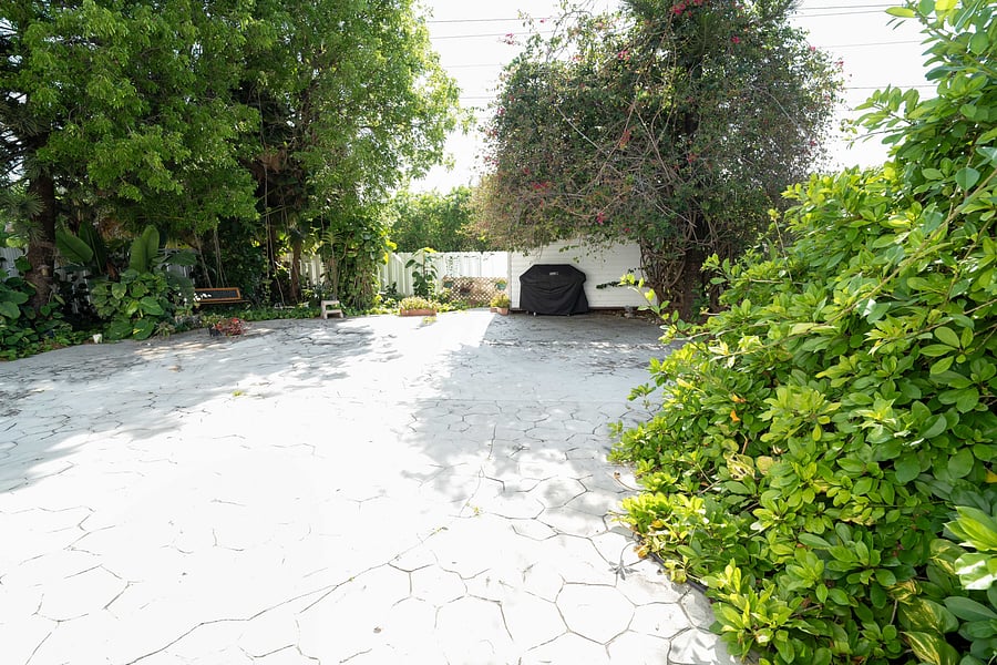 Backyard.