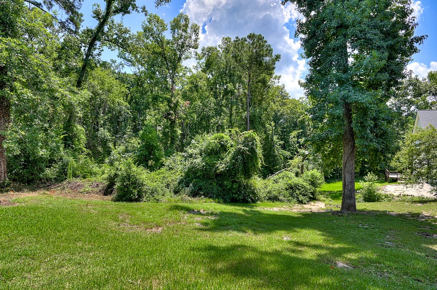 Furnished Finder property 1043233_1 photo 45