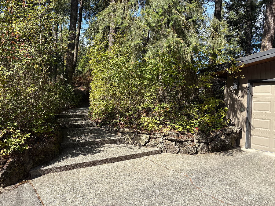 Walkway to Entry from Garage