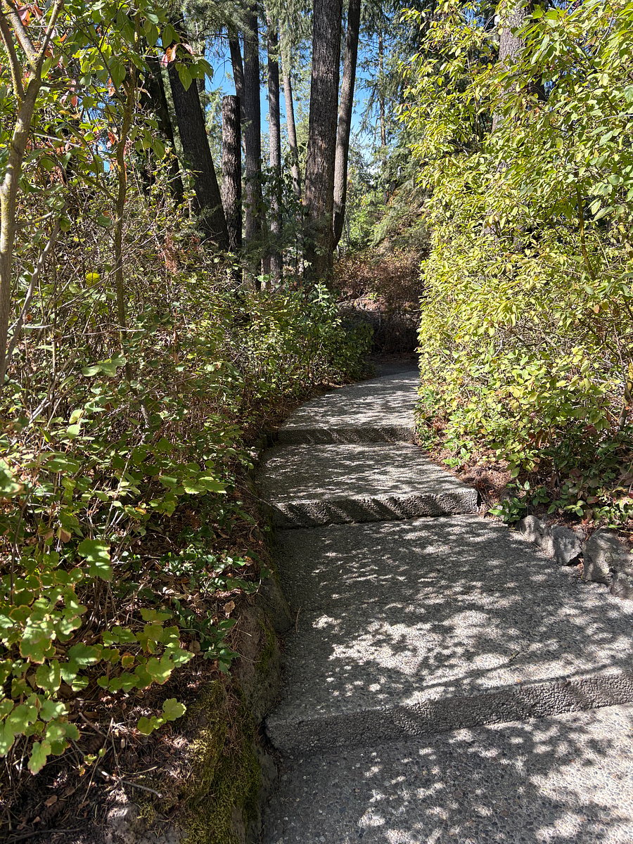 Entry Walkway