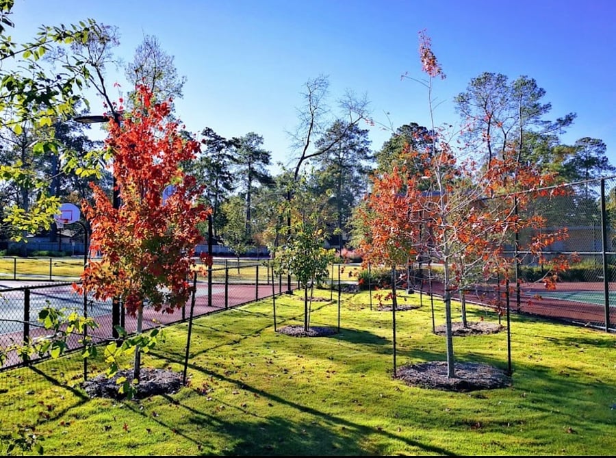 Steps away from park with sports courts