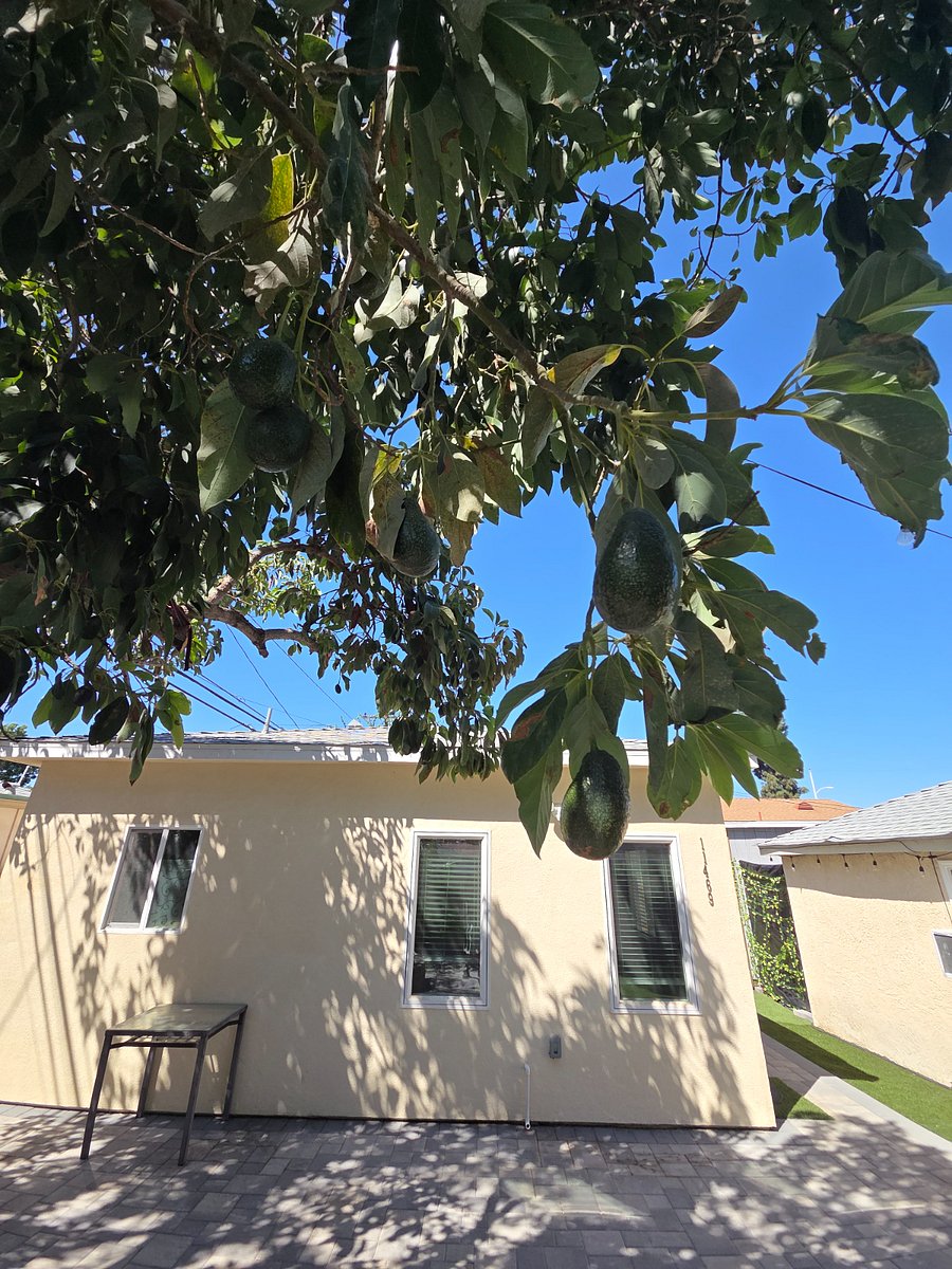 Furnished Finder property 1043562_1 photo 6