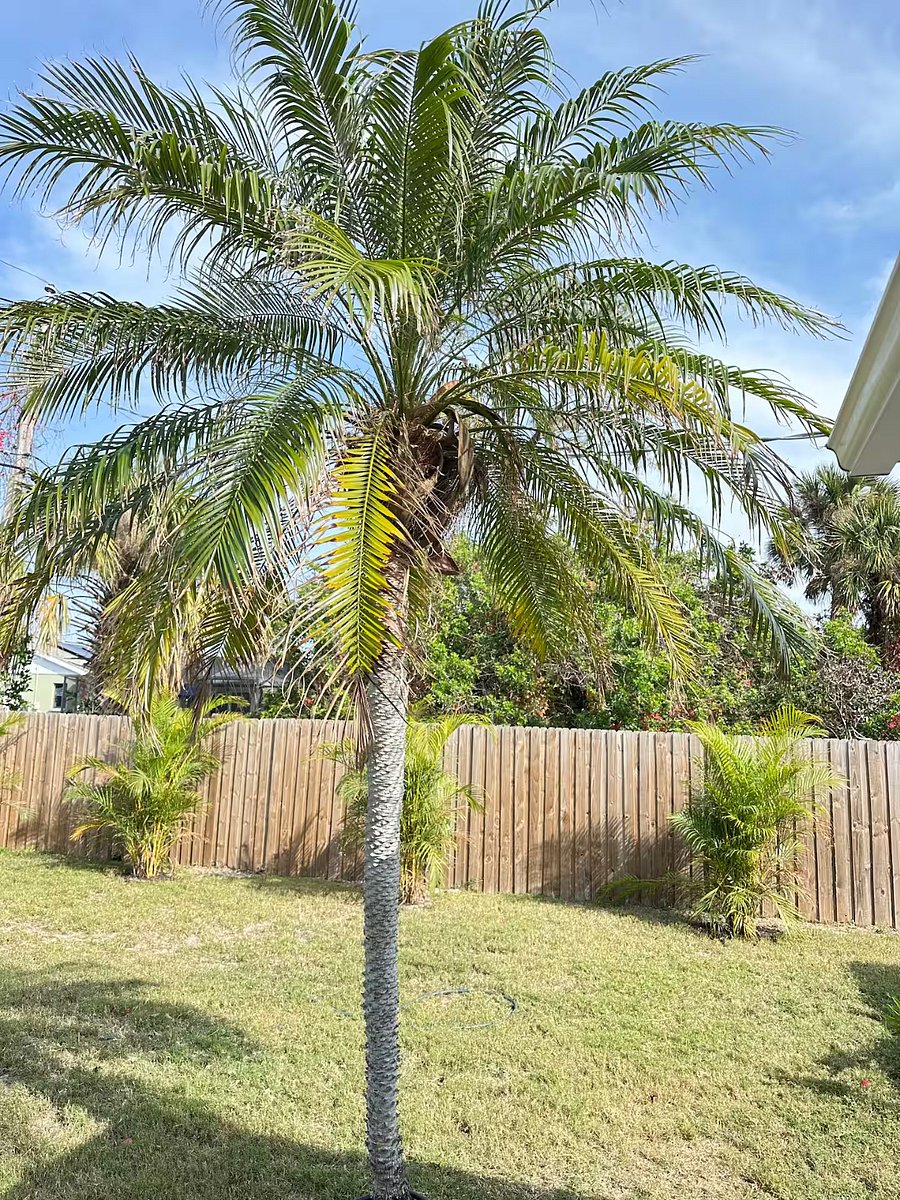 Furnished Finder property 1043576_1 photo 33