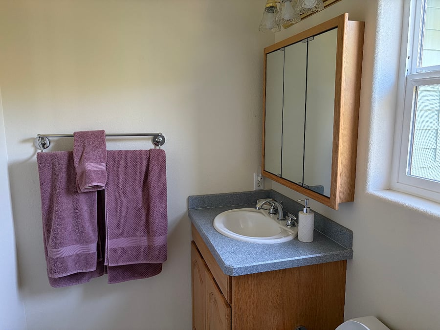 Private bathroom (1)