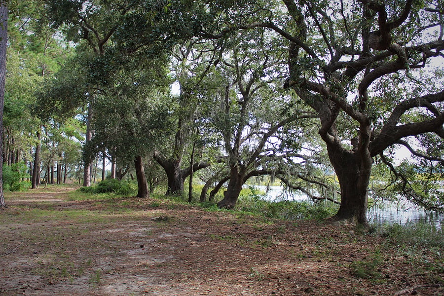 Furnished Finder property 1043876_1 photo 7