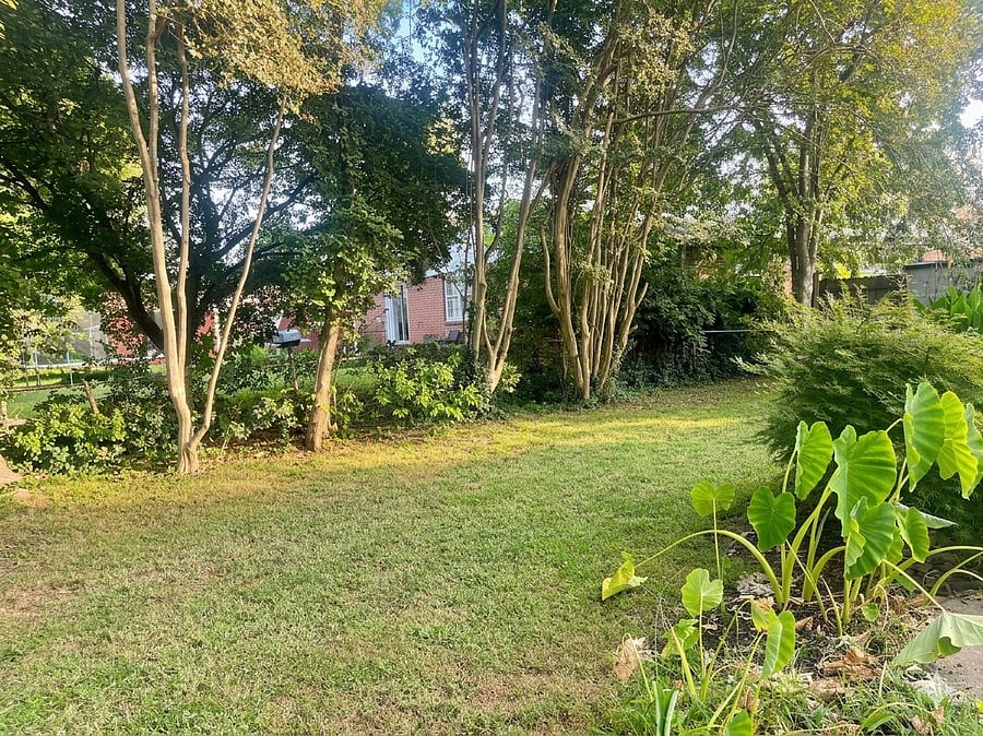 Furnished Finder property 1043921_1 photo 19