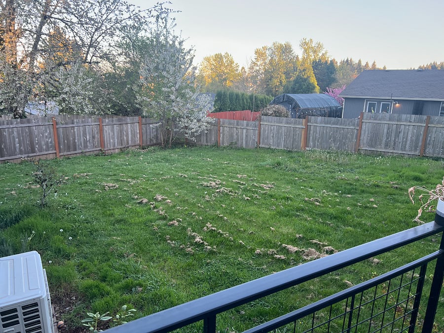 Furnished Finder property 1043938_1 photo 16