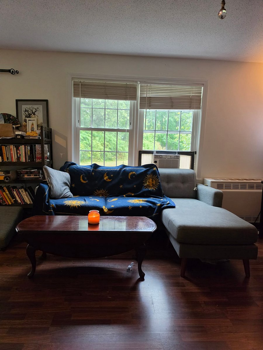 Furnished Finder property 1044350_1 photo 4