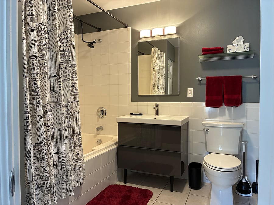 Master bath with tub shower. Linen closet to the left.