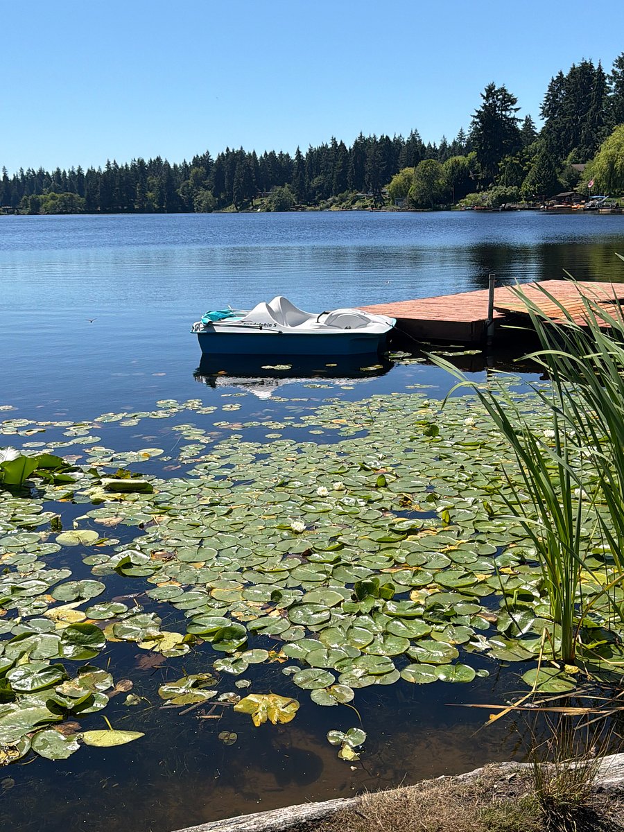 Paddle boat available for your daily use