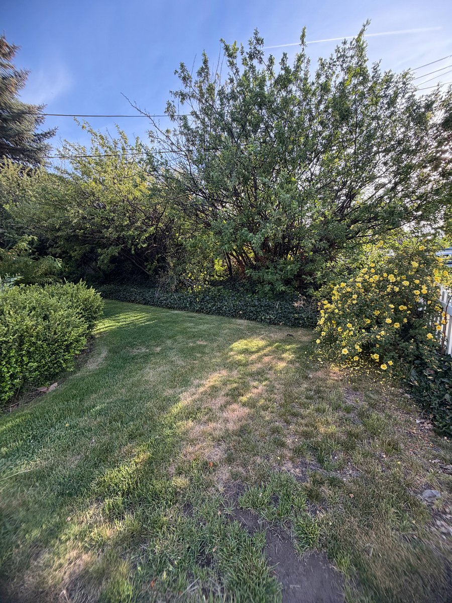 Furnished Finder property 1044470_1 photo 2