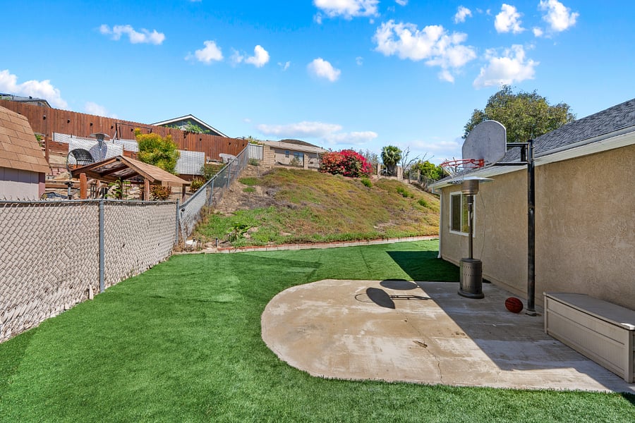 Backyard