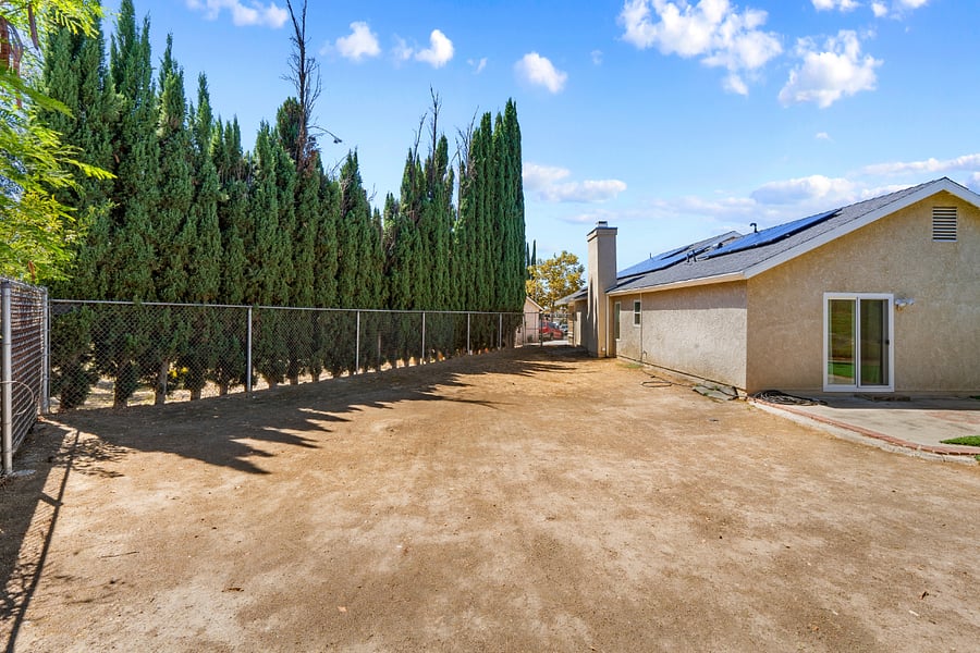 Backyard