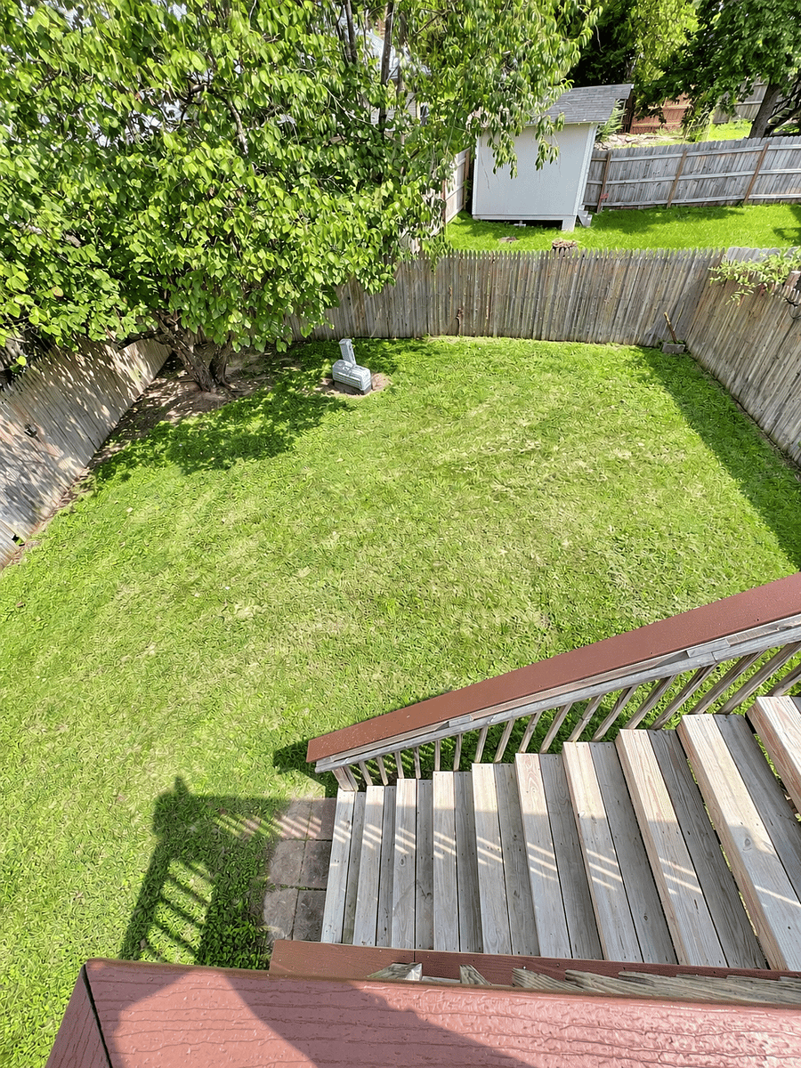 fenced yard