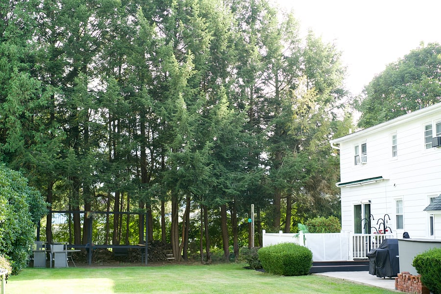 Furnished Finder property 1044795_1 photo 19