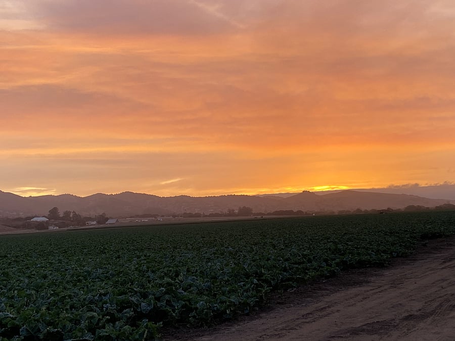 Looking west at a beautiful Central Coast Salinas Valley sunset. 