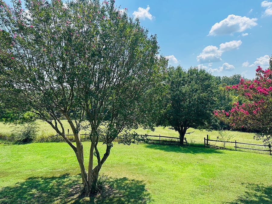 Furnished Finder property 1045034_1 photo 23