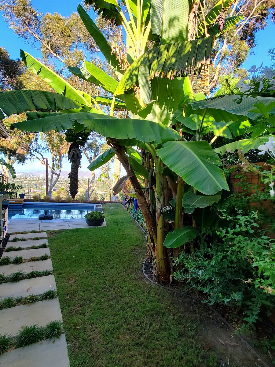 Furnished Finder property 1045093_1 photo 3