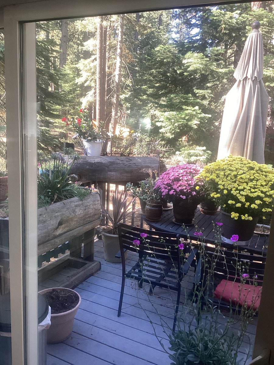 Furnished Finder property 1045129_1 photo 3