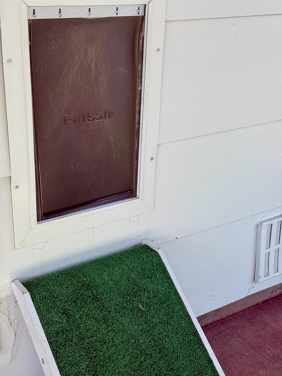Dog Door