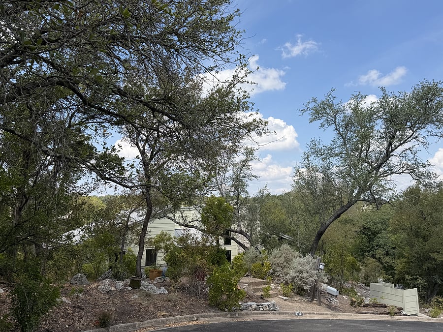 Furnished Finder property 1045205_1 photo 21