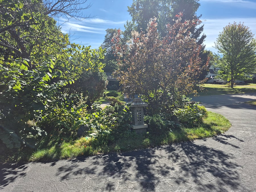 Furnished Finder property 1045313_1 photo 24